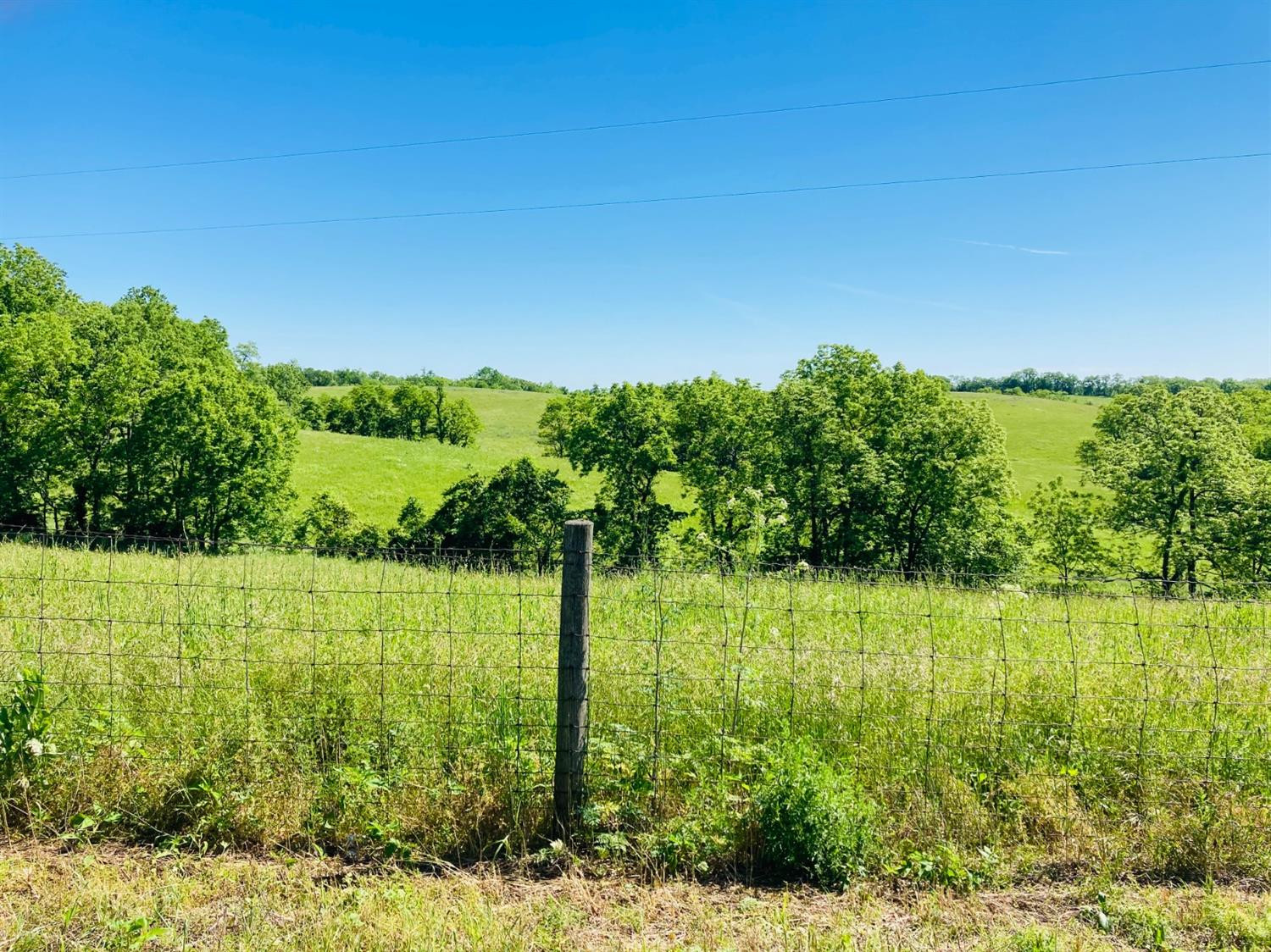 549 Rockridge Road Paris, KY 40361 - Photo 5 of 8 Photo 5