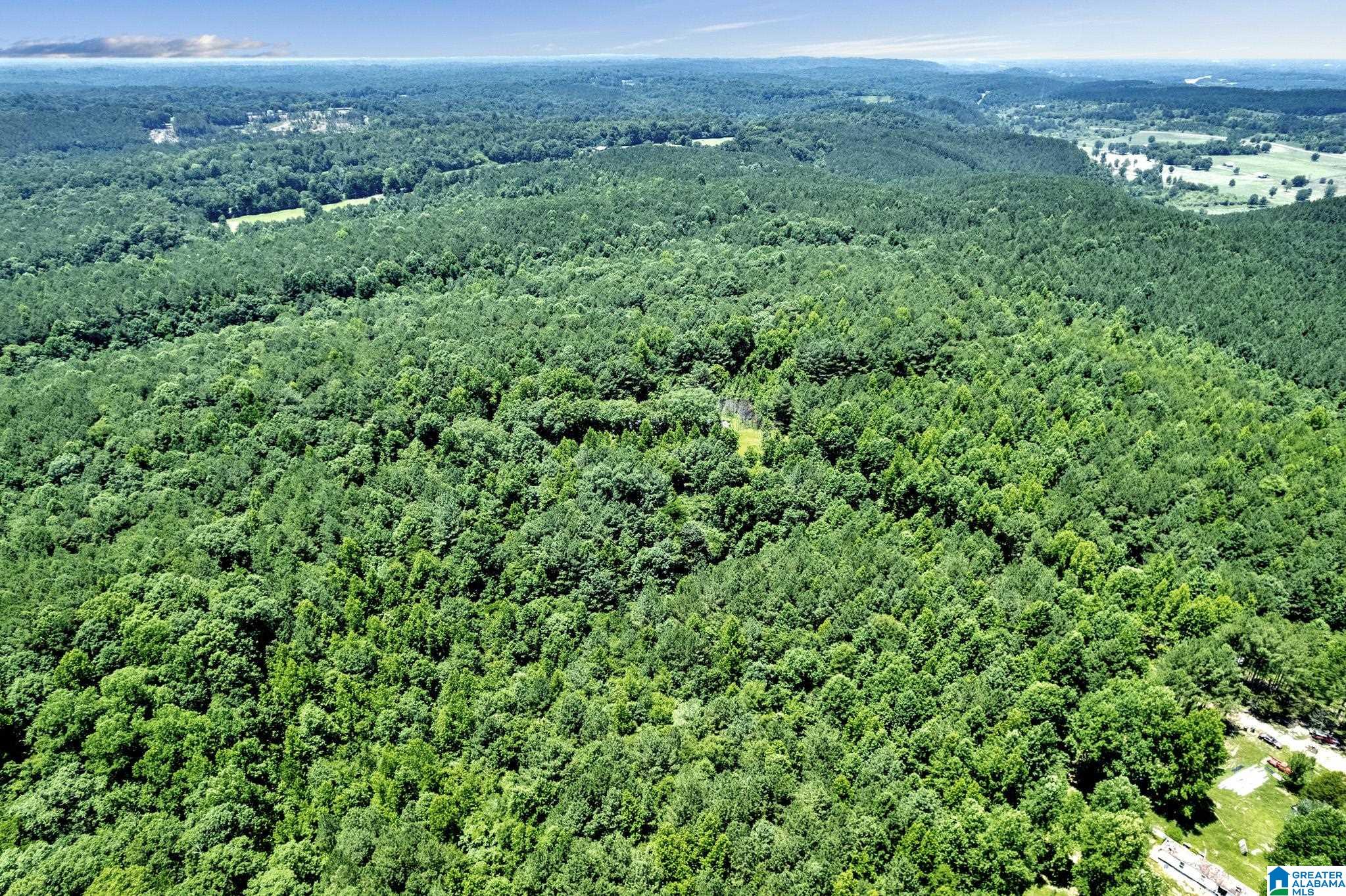 572 Dunn Hill Road Parrish, AL 35580 - Photo 12 of 25