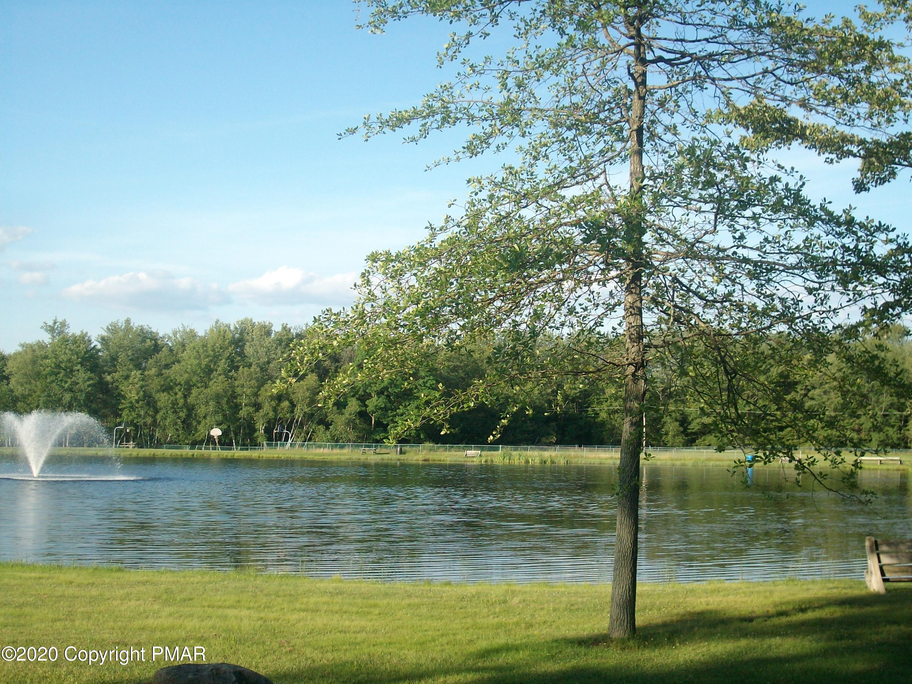 192 Selig Road Pocono Lake, PA 18347 - Photo 26 of 37 LLV3 Lake with Tree