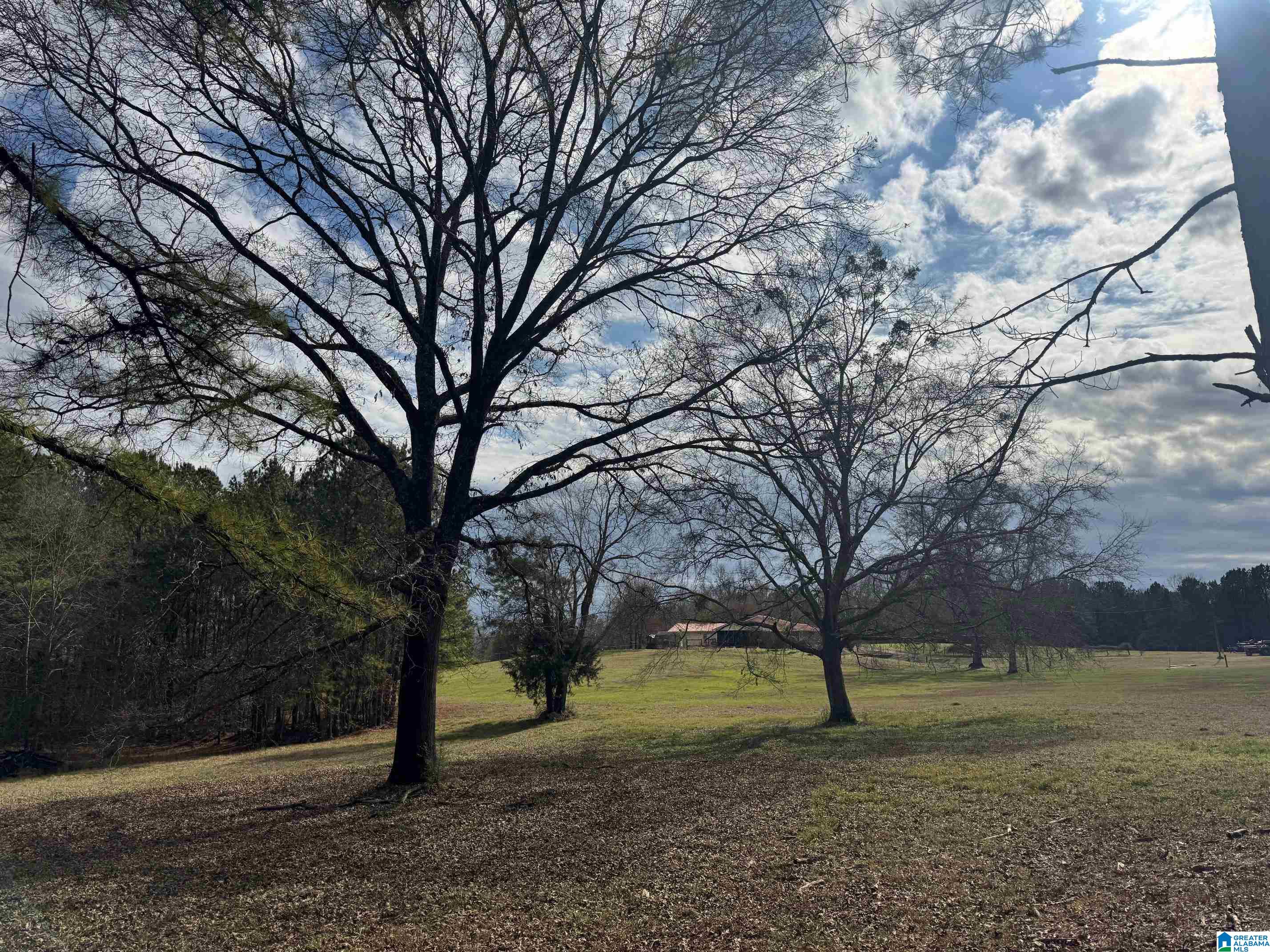 3953 Logan Martin Dam Road Cropwell, AL 35054 - Photo 43 of 99