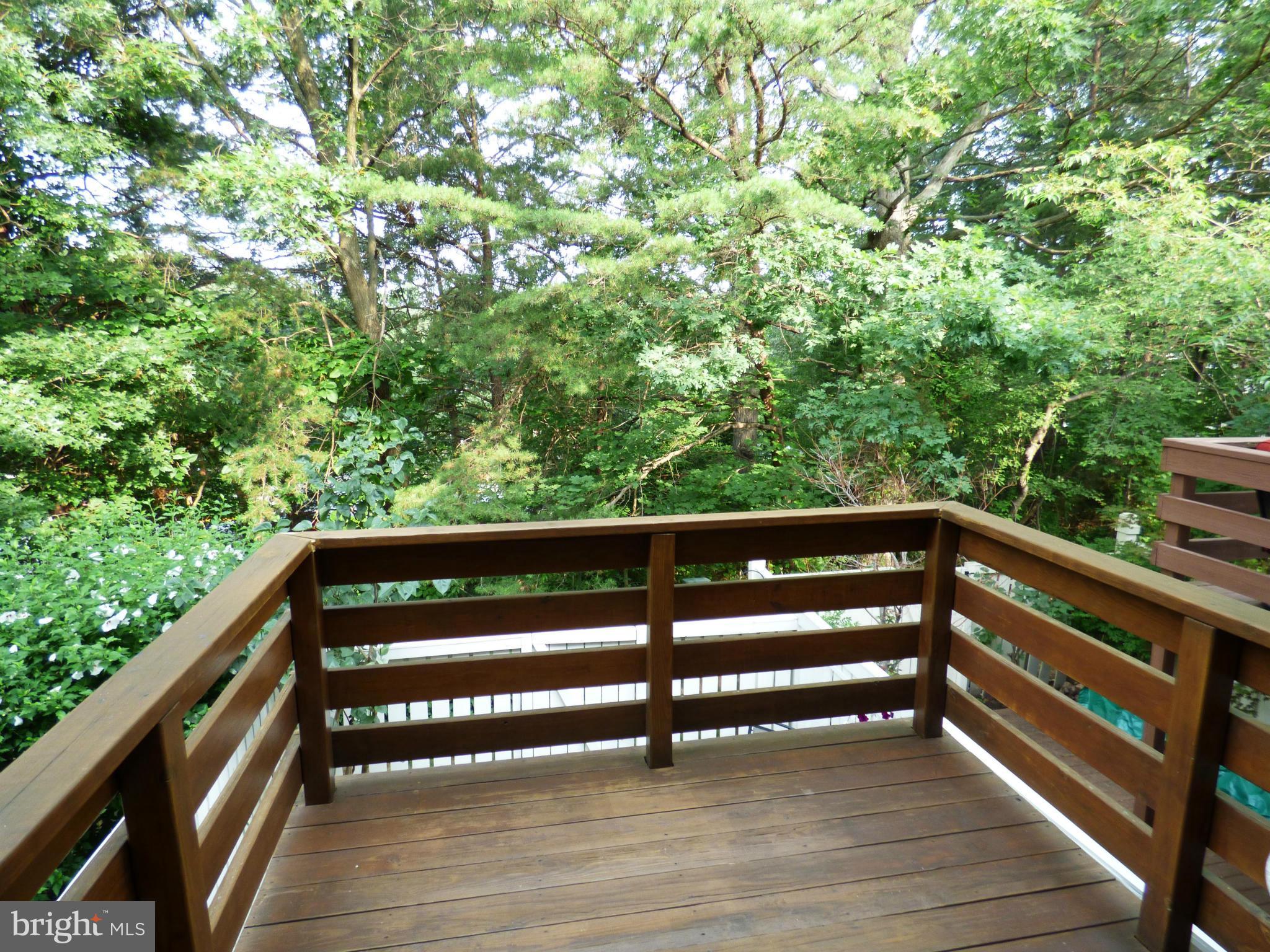 1634 Fieldthorn Drive Reston, VA 20194 - Photo 10 of 30 a view of outdoor space with deck and yard