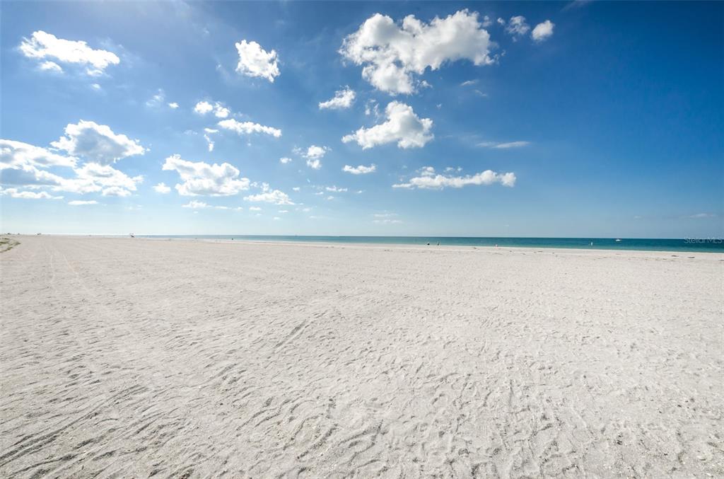 1460 Gulf Boulevard, Unit 506 Clearwater, FL 33767 - Photo 48 of 79