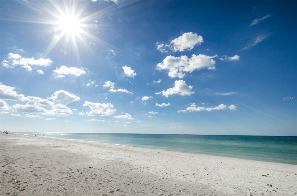 1460 Gulf Boulevard, Unit 506 Clearwater, FL 33767 - Photo 49 of 79