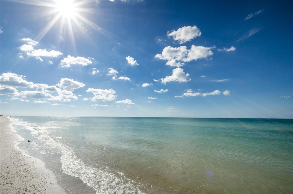 1460 Gulf Boulevard, Unit 506 Clearwater, FL 33767 - Photo 50 of 79