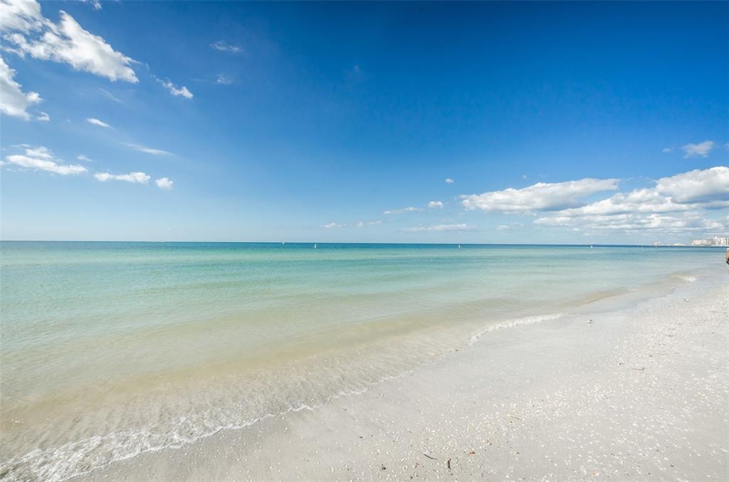 1460 Gulf Boulevard, Unit 506 Clearwater, FL 33767 - Photo 52 of 79