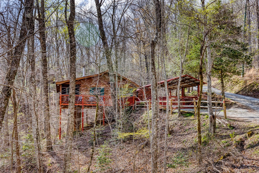 688 Little Bushy Head Road Blue Ridge, GA 30513 - Photo 2 of 49