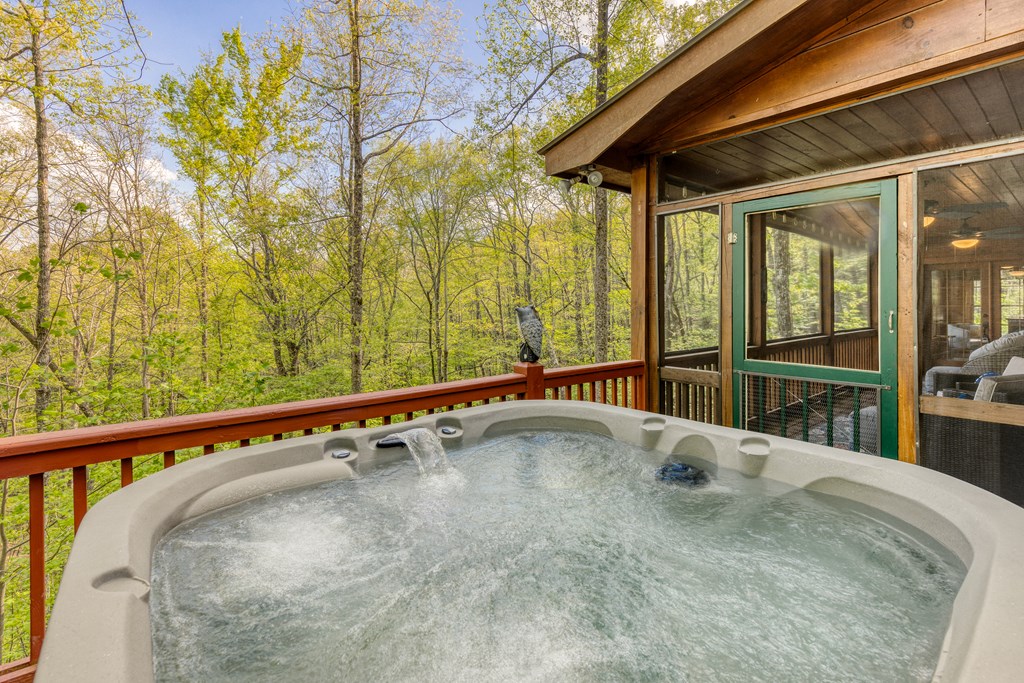 688 Little Bushy Head Road Blue Ridge, GA 30513 - Photo 7 of 49