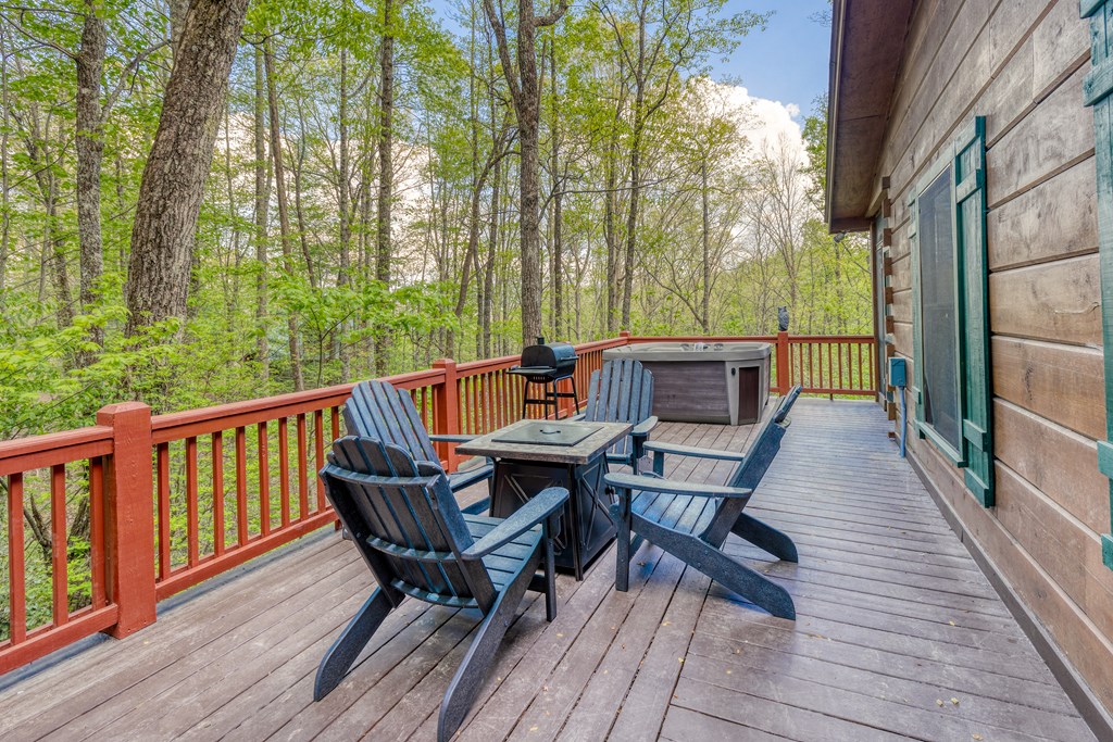 688 Little Bushy Head Road Blue Ridge, GA 30513 - Photo 9 of 49