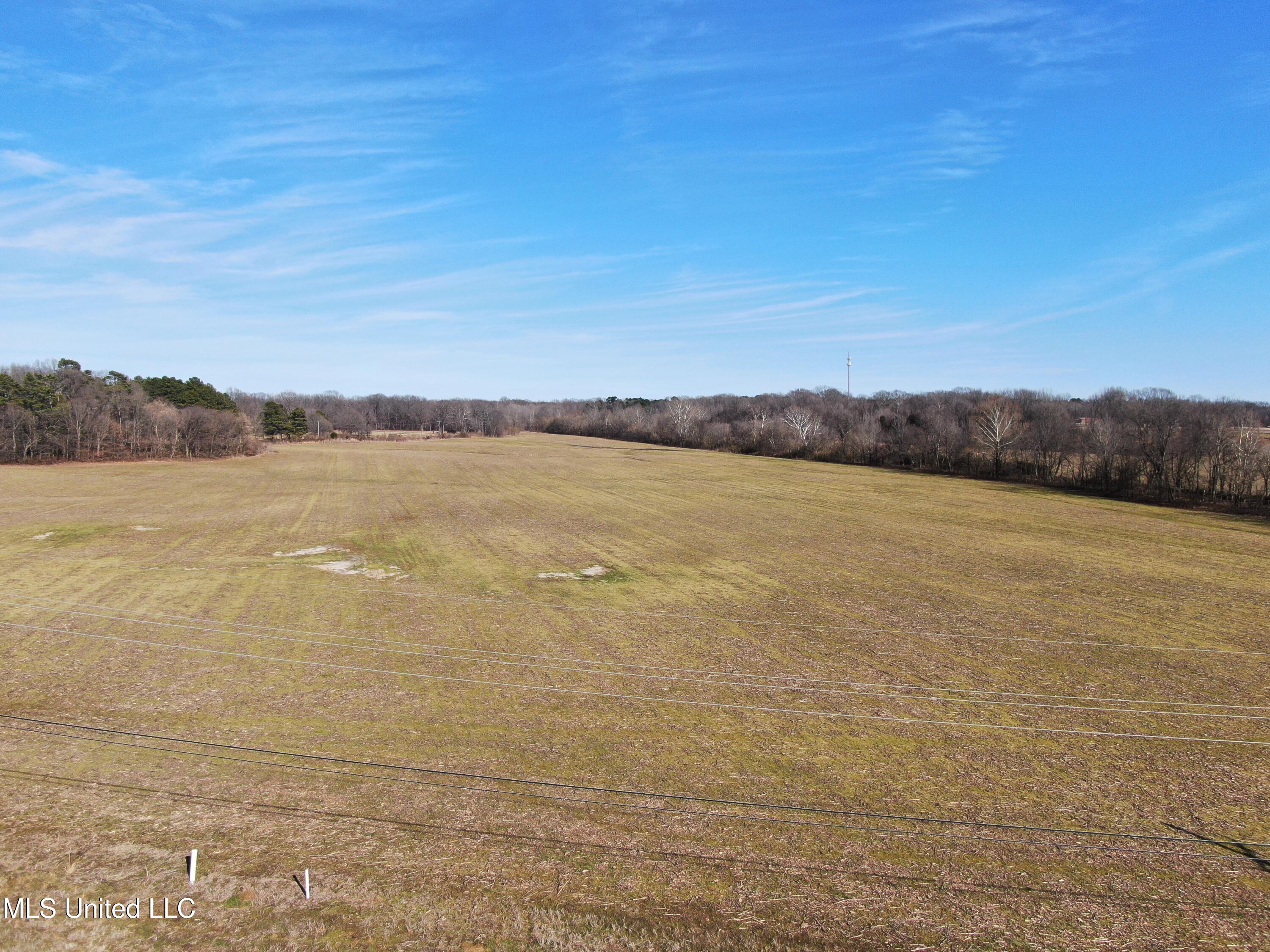 5000 Church Road Lake Cormorant, MS 38641 - Photo 11 of 18 DJI_0822