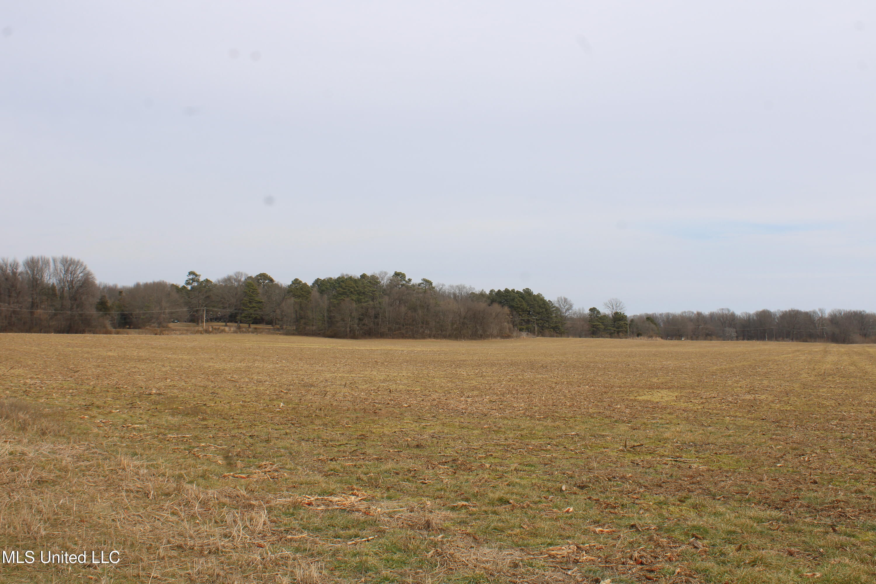5000 Church Road Lake Cormorant, MS 38641 - Photo 13 of 18 IMG_7205