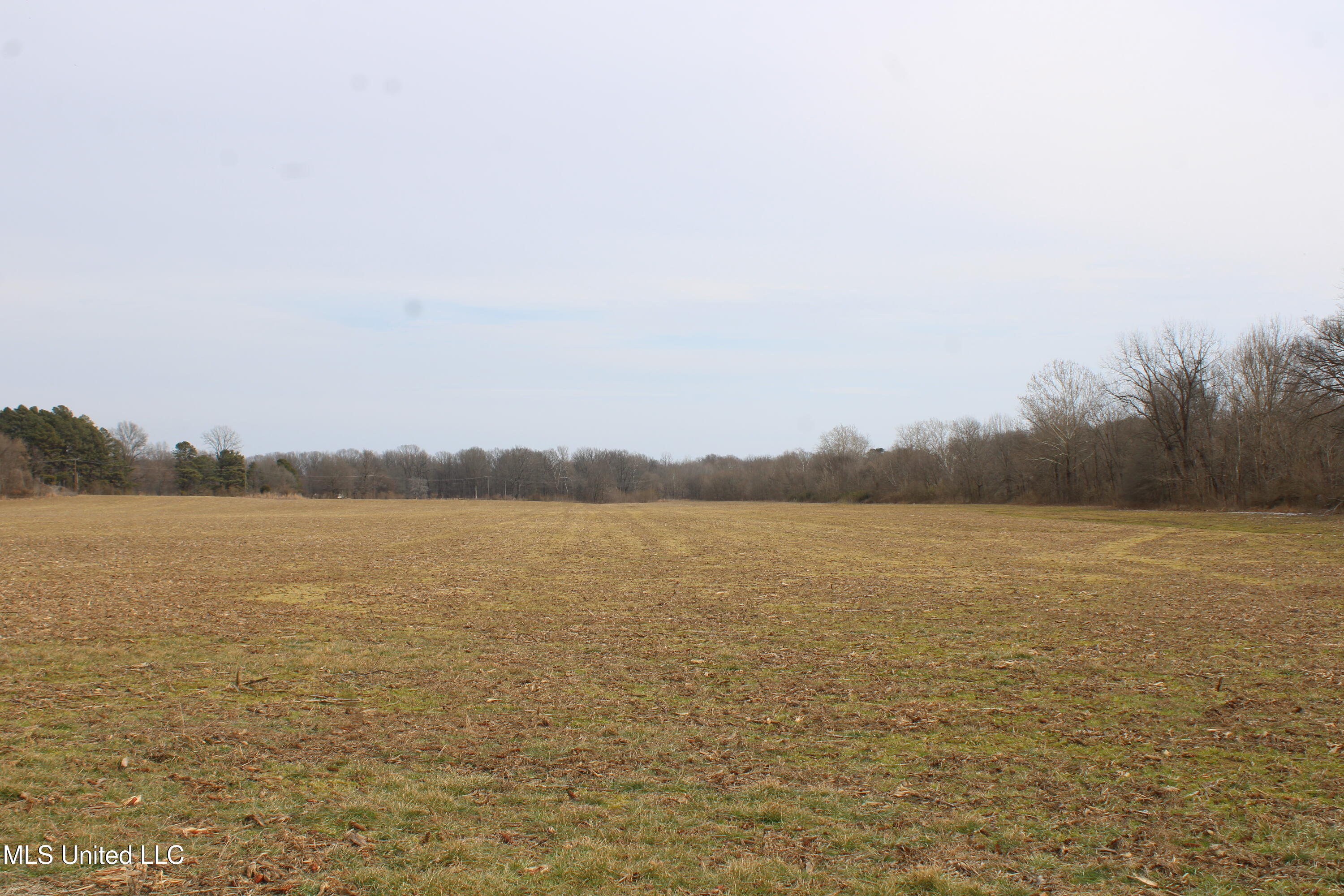 5000 Church Road Lake Cormorant, MS 38641 - Photo 14 of 18 IMG_7206