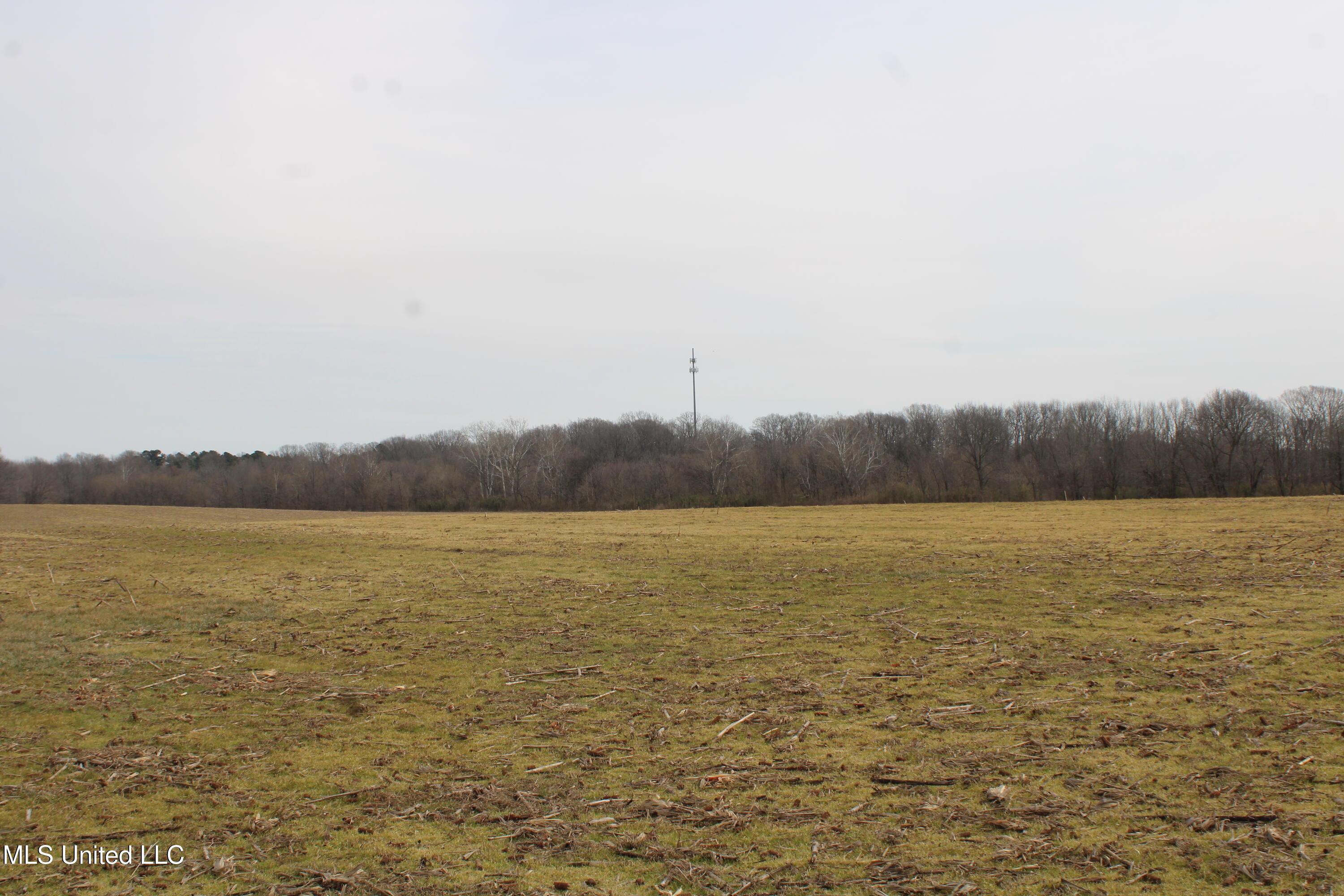 5000 Church Road Lake Cormorant, MS 38641 - Photo 15 of 18 IMG_7207