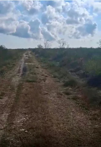 a view of a dry yard with wooden cabinets