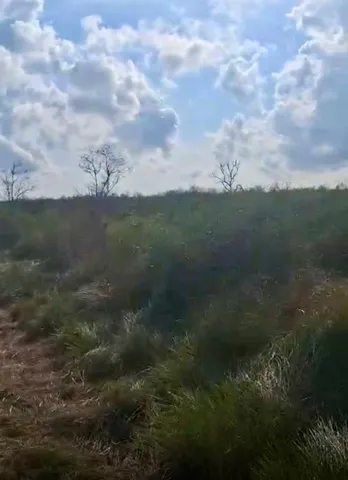 a view of a lake from a yard