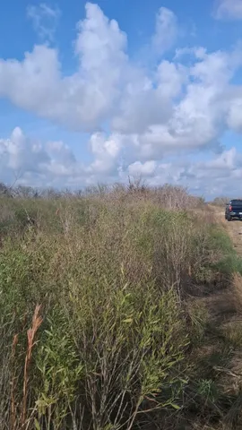 a view of a city with lush green forest