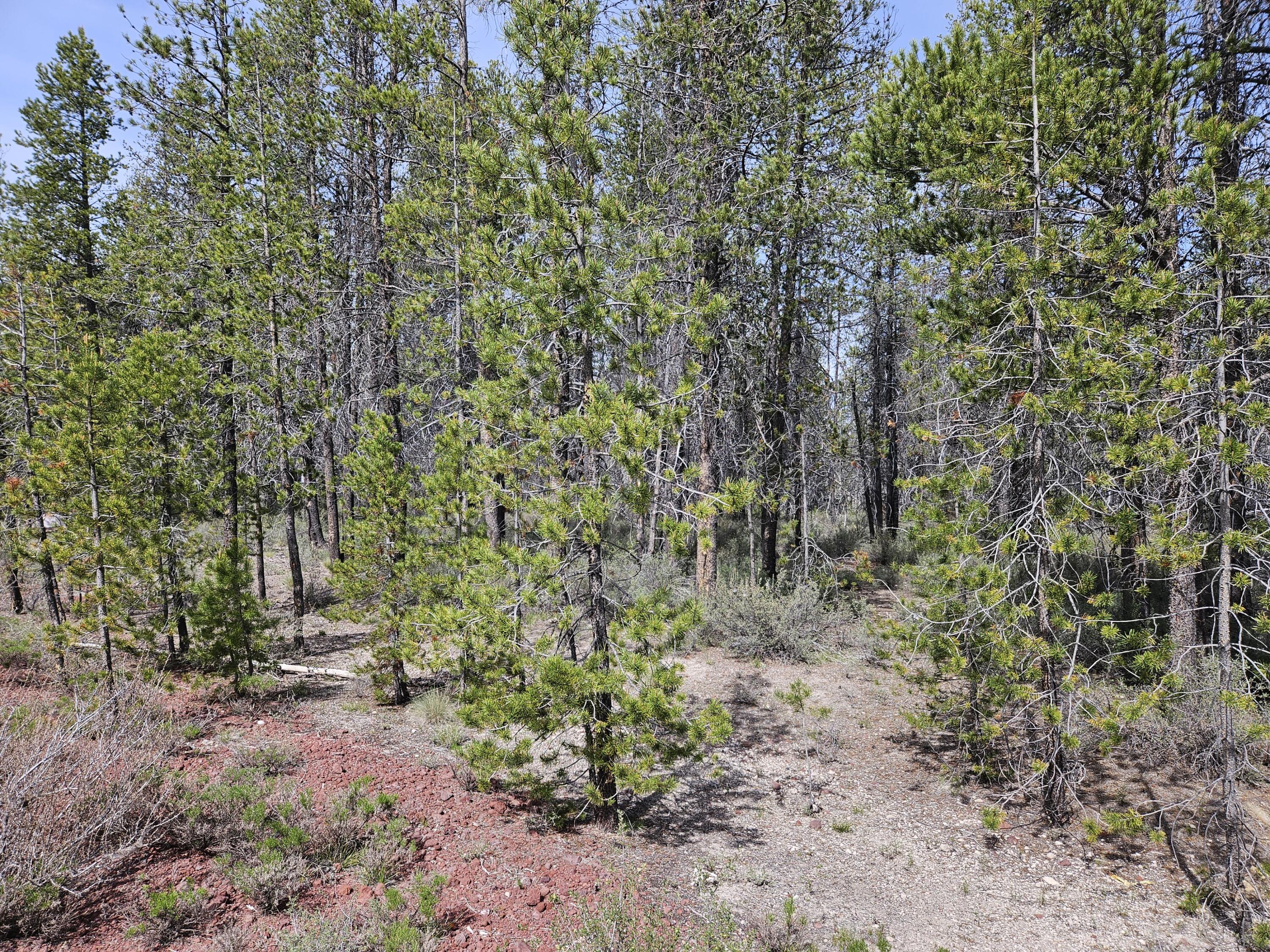 0 Scott View Drive, Unit 7 Chiloquin, OR 97624 - Photo 1 of 5 a view of a garden with a tree