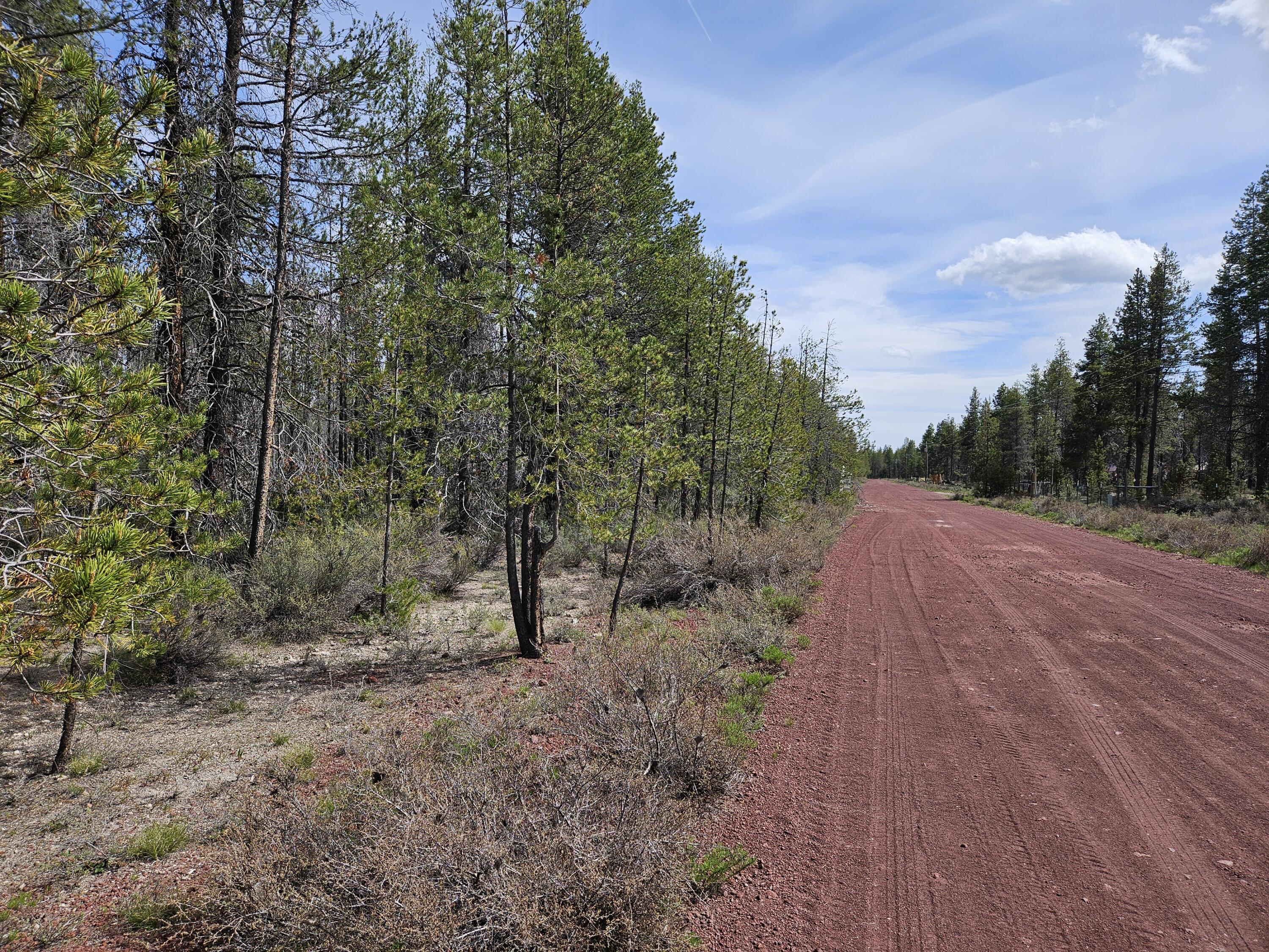 0 Scott View Drive, Unit 7 Chiloquin, OR 97624 - Photo 3 of 5 a view of a forest filled with trees