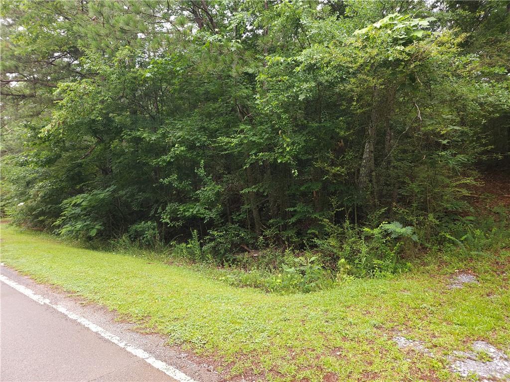 0 Potash Road Cedartown, GA 30125 - Photo 11 of 15