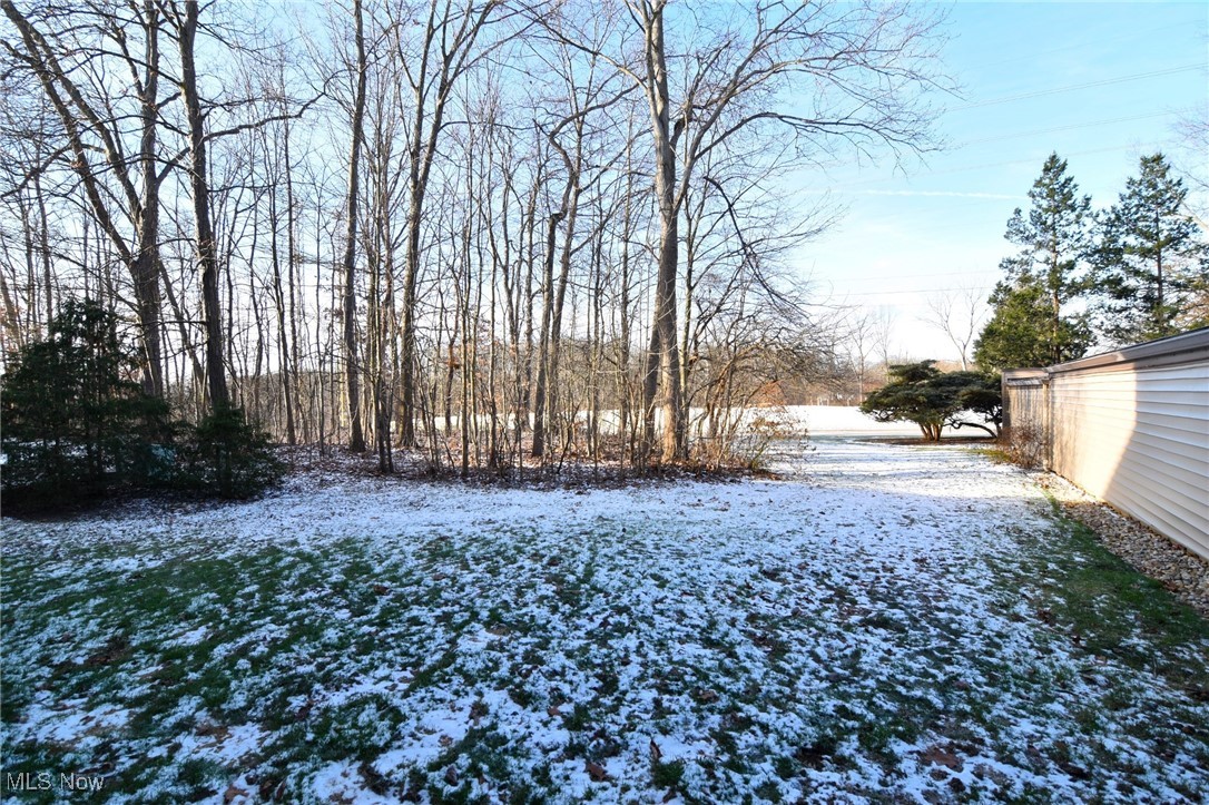 1105 Canyon View Road, Unit 602 Northfield, OH 44067 - Photo 24 of 31 View of rear green space
