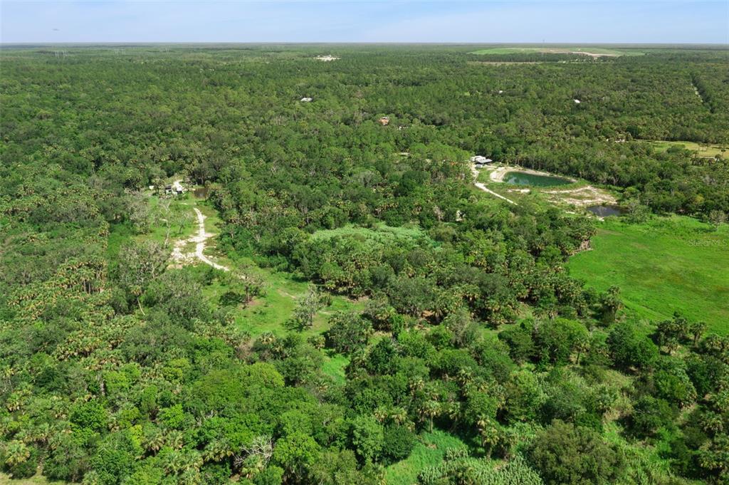 Canvasback Trail Geneva, FL 32732 - Photo 5 of 16