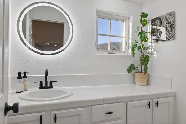 a bathroom with a sink a mirror and a potted plant