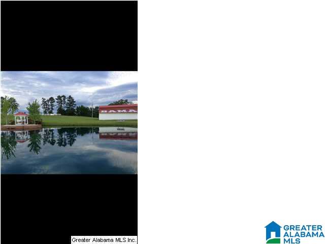 495 County Road 437 Verbena, AL 36091 - Photo 6 of 40