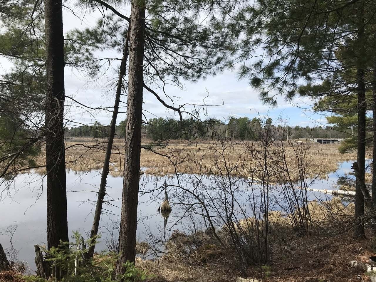 Lot 2 Thoroughfare Road Minocqua, WI 54548 - Photo 8 of 15 Gallery Image 8