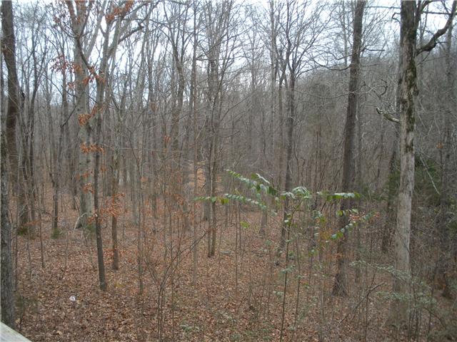 458 Harper Road Clarksville, TN 37043 - Photo 4 of 12 Wooded lot
