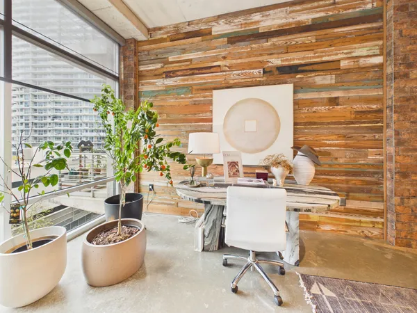 a living room with a couch and a potted plant