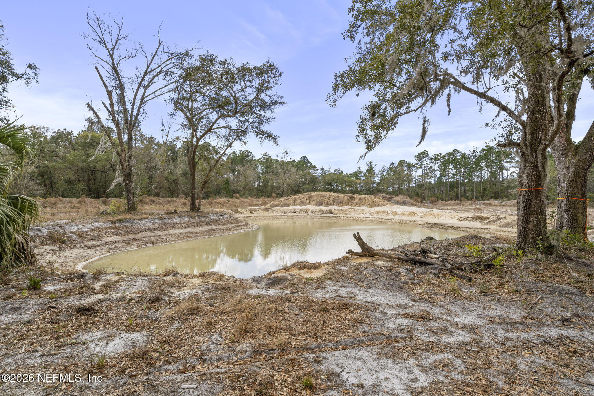 76183 Harper Chapel Road Yulee, FL 32097 - Photo 18 of 29 38-web-or-mls-DSC09176