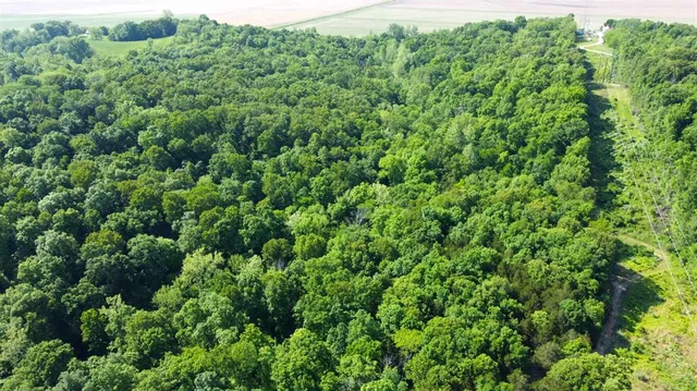 $500,000 | Undisclosed Address, Holts Summit, MO 65043