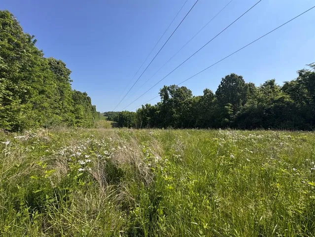 $500,000 | Undisclosed Address, Holts Summit, MO 65043