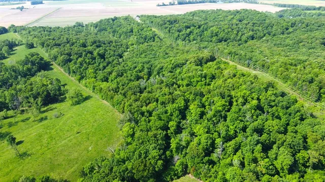 $500,000 | Undisclosed Address, Holts Summit, MO 65043