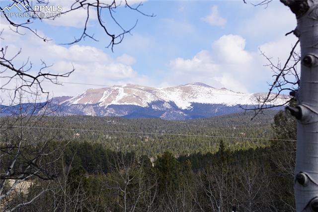 181 Berylium Road Florissant, CO 80816 - Photo 12 of 13 Gallery Image 12