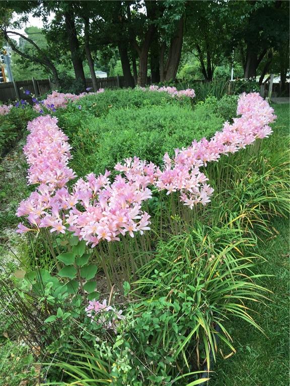 14936 Rhodes Circle Lenexa, KS 66215 - Photo 78 of 87