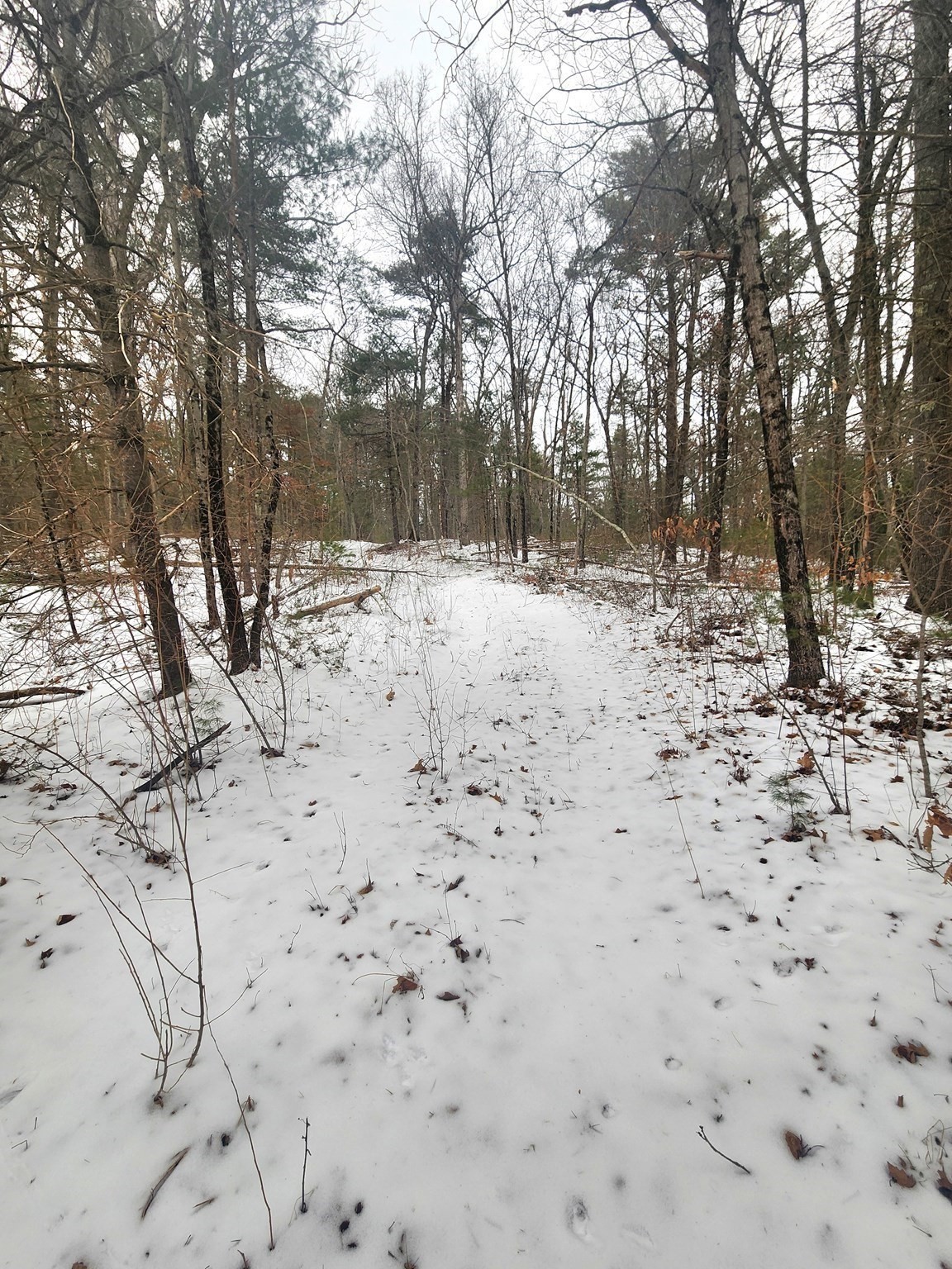 12 A Bumstead Road Monson, MA 01057 - Photo 5 of 13 Gallery Image 5