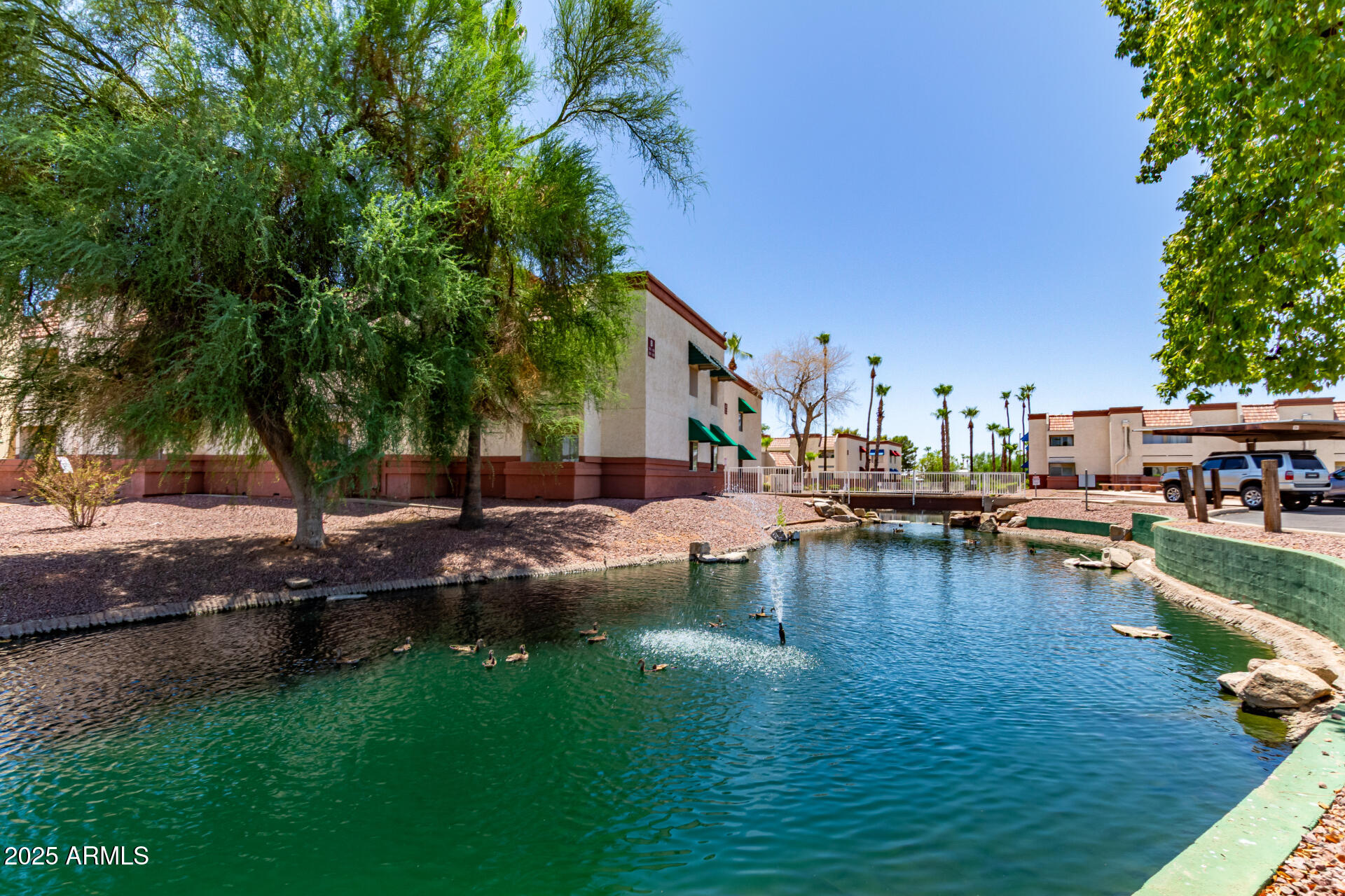 12123 West Bell Road, Unit 138 Surprise, AZ 85378 - Photo 27 of 28 a view of swimming pool with outdoor seating and plants