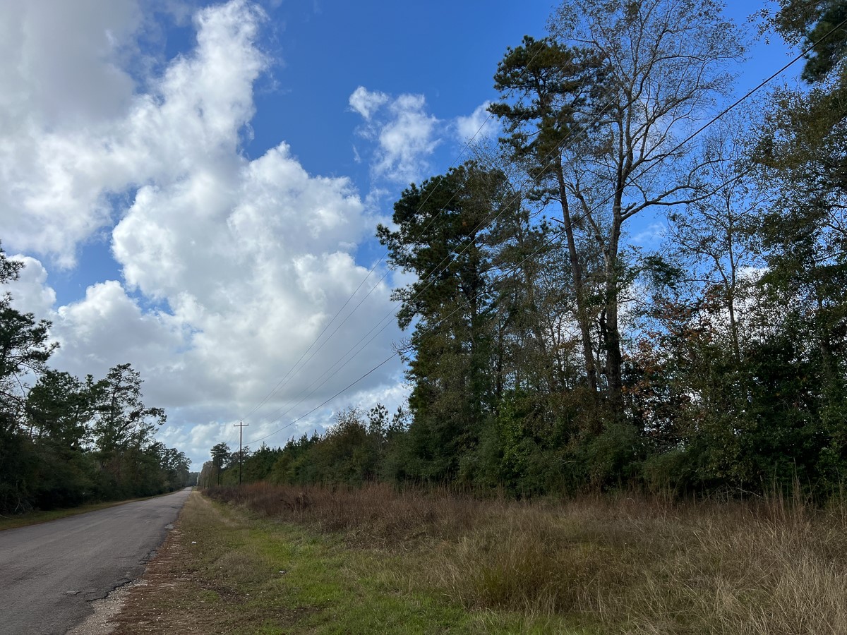 0 Old Honey Island Road Kountze, TX 77625 - Photo 11 of 17 a view of a lake
