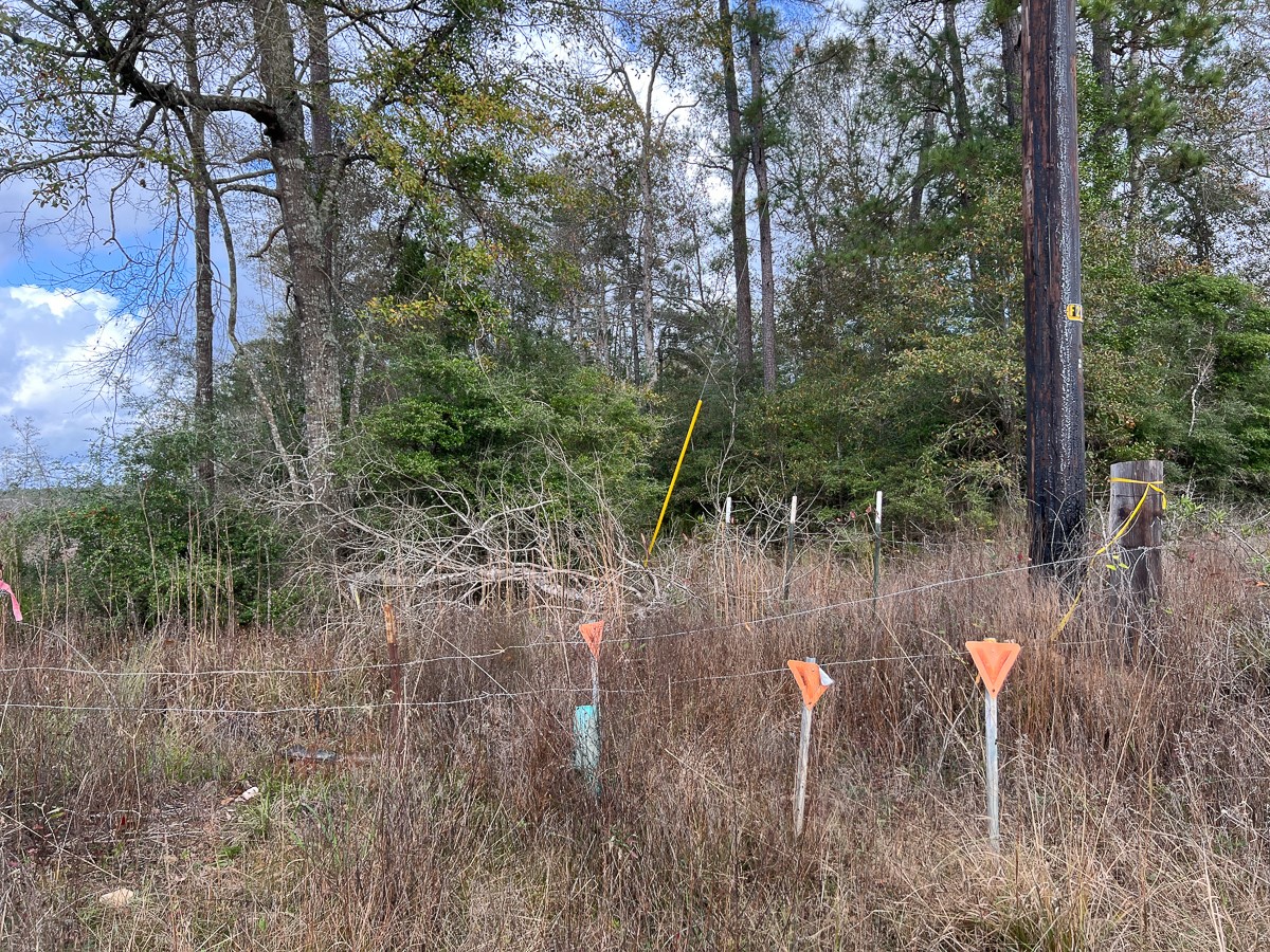 0 Old Honey Island Road Kountze, TX 77625 - Photo 12 of 17 a view of a yard with large trees