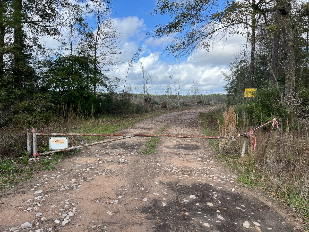 0 Old Honey Island Road Kountze, TX 77625 - Photo 16 of 17 a view of a yard