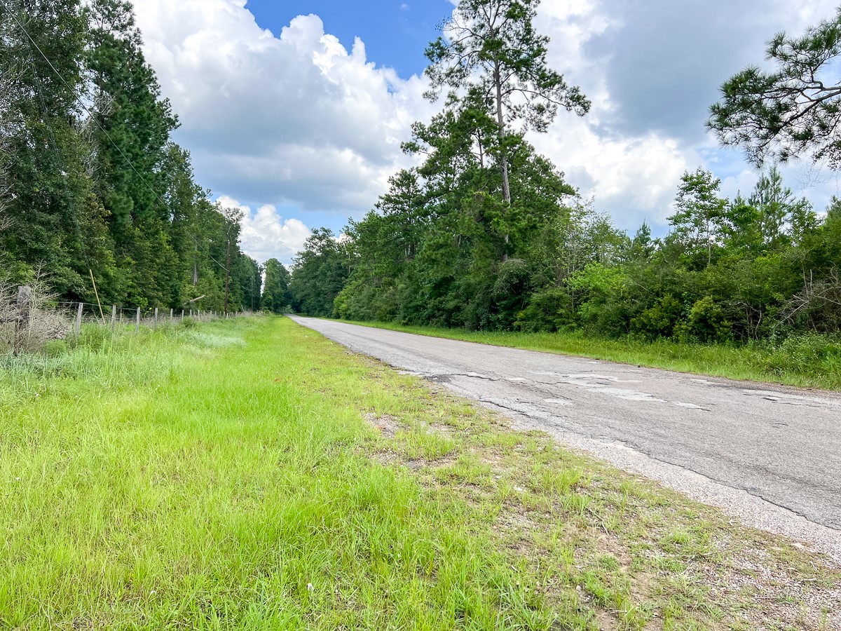 0 Old Honey Island Road Kountze, TX 77625 - Photo 5 of 17 a view of a field with a tree