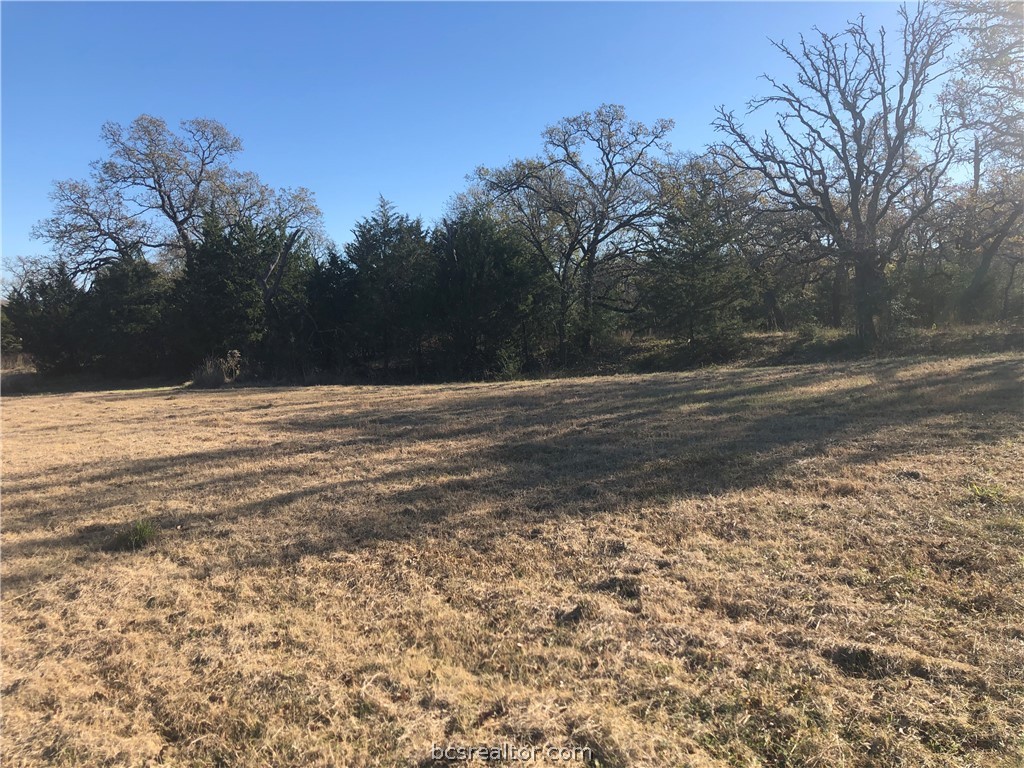 6922 McCrae Lane Bryan, TX 77808 - Photo 1 of 1 a view of ocean