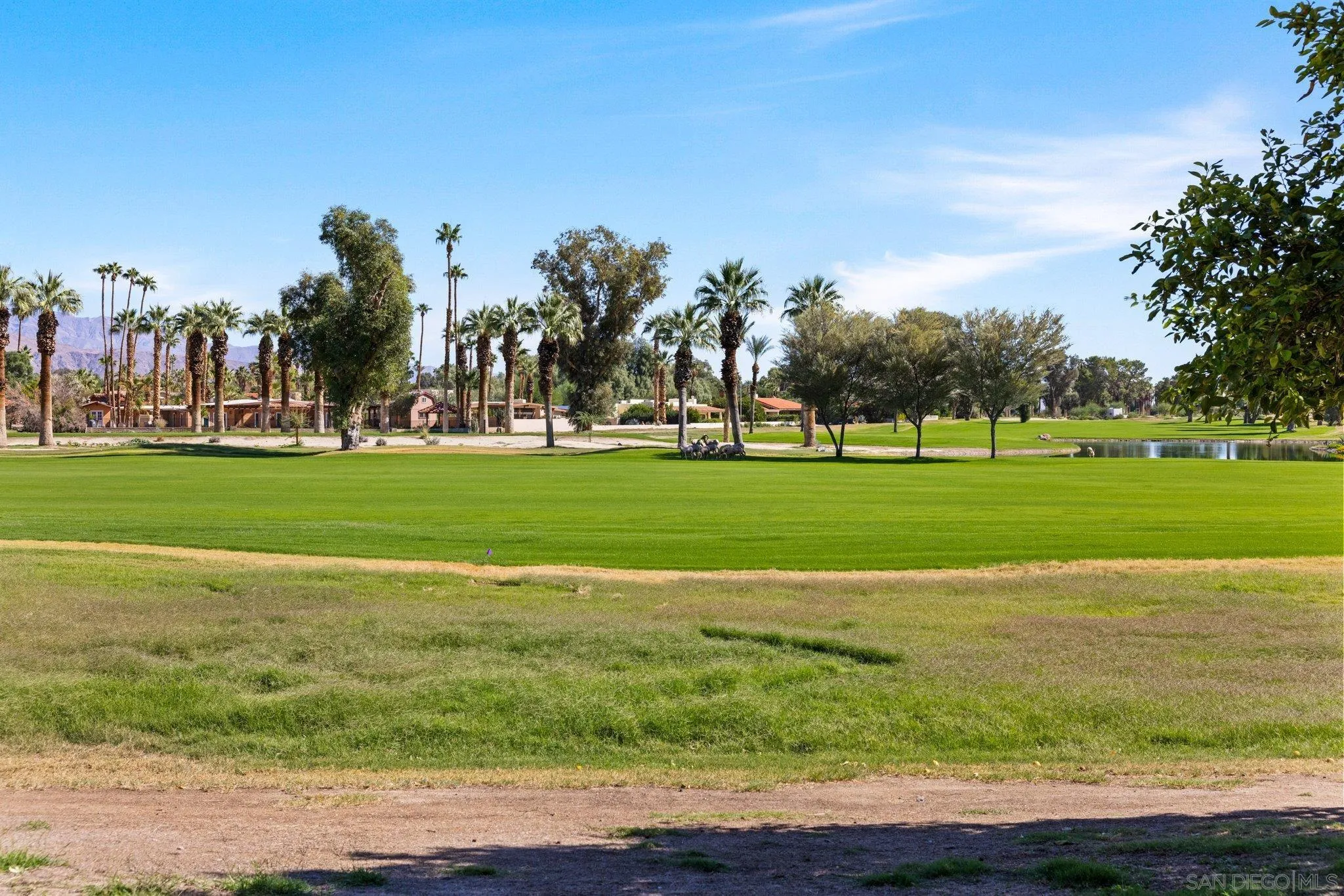 1668 Montezuma Court, Unit 22 Borrego Springs, CA 92004 - Photo 71 of 75 a view of a golf course with a big yard