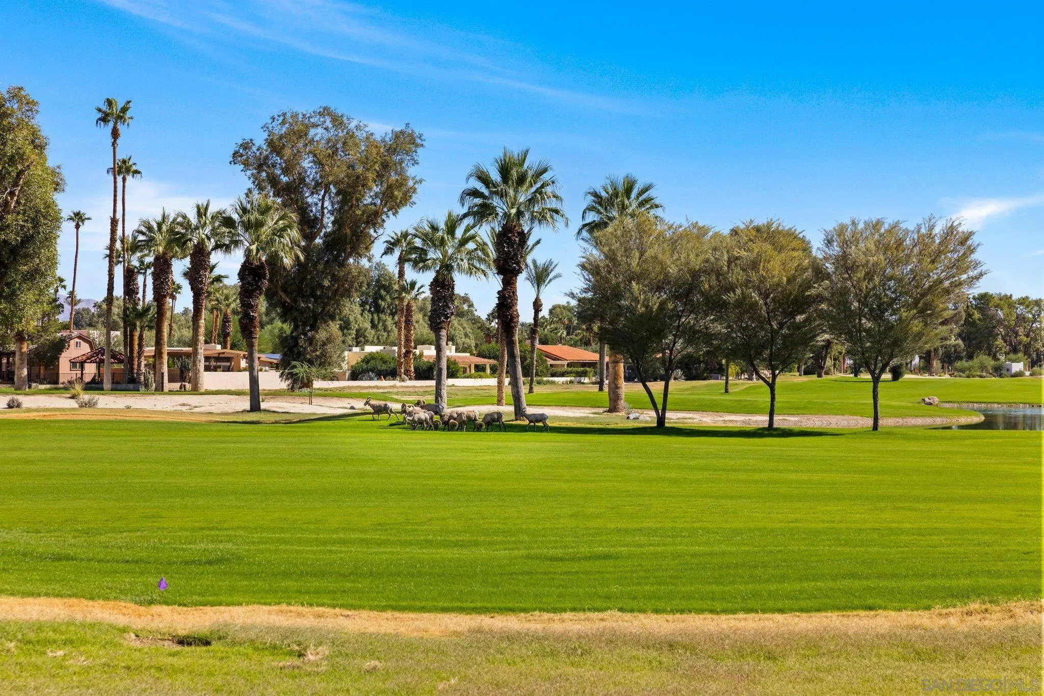 1668 Montezuma Court, Unit 22 Borrego Springs, CA 92004 - Photo 72 of 75