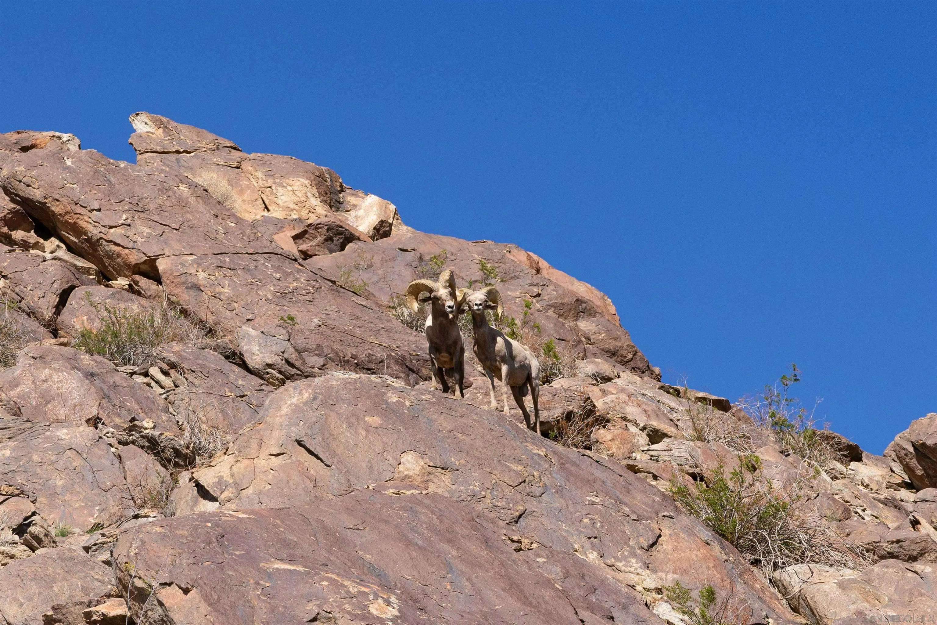 1668 Montezuma Court, Unit 22 Borrego Springs, CA 92004 - Photo 74 of 75 a view of outside area of the house