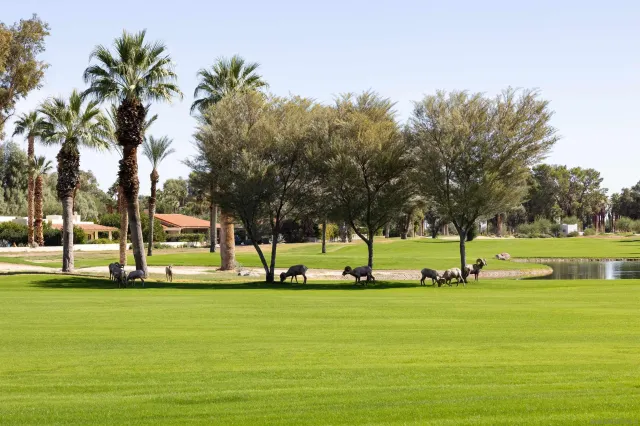 $305,000 | 1668 Montezuma Court, Unit 22, Borrego Springs, CA 92004