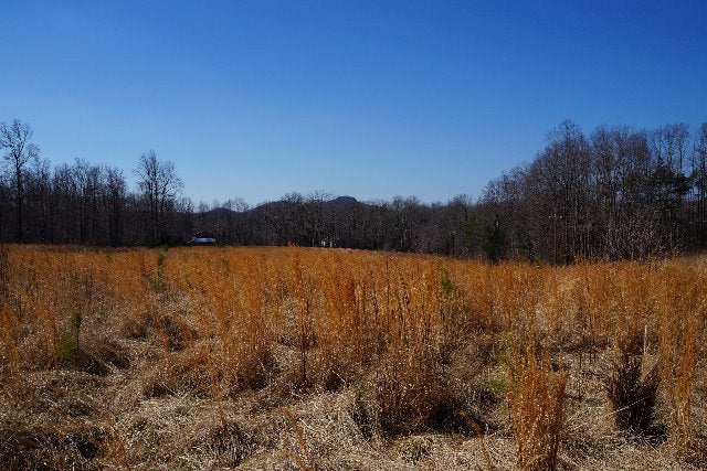 0 Red Road, Unit 2046 Dillwyn, VA 23936 - Photo 1 of 1 Gallery Image 1