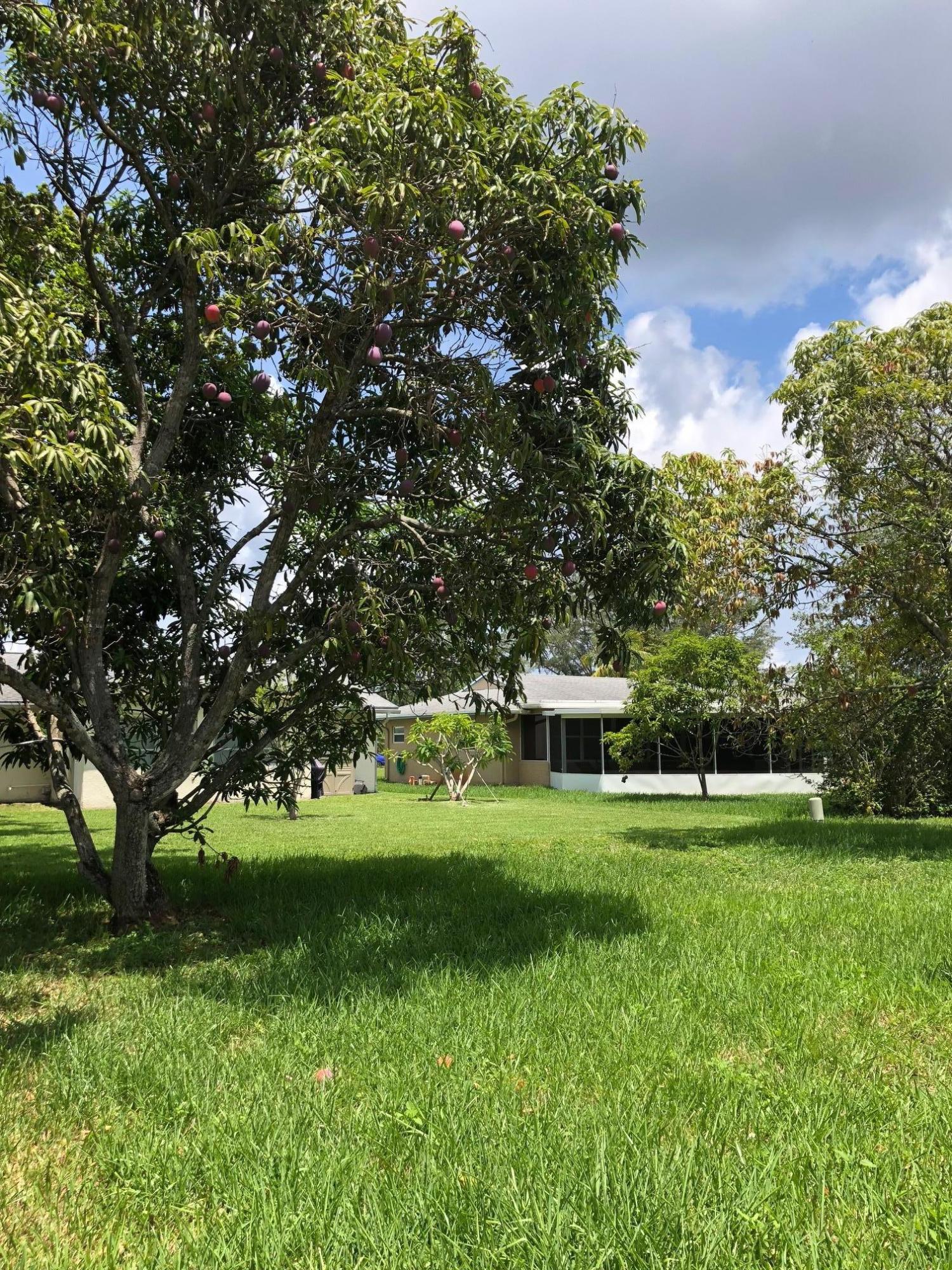 8205 Northwest 100th Terrace Tamarac, FL 33321 - Photo 10 of 15 IMG_0341
