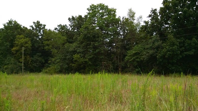 166 County Road Auxvasse, MO 65231 - Photo 20 of 27