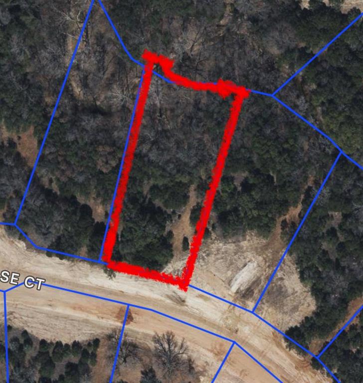 1036 Rose Court Nemo, TX 76070 - Photo 3 of 3 a view of a yard